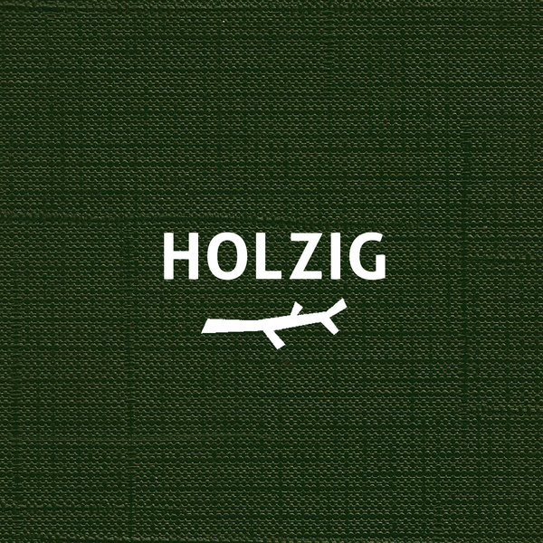 A5033 :: Holzig :: Holzig (CD) Ed. Ajazz